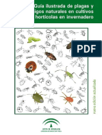 Guia Ilustrada de Plagas y Nemigos Naturales en Los Cultivos