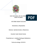 informe # 5 nematodos