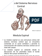 Atlas-de-Neuroanatomia-2012.pdf