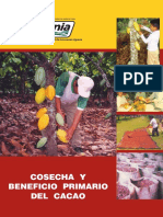 Benito-Cosecha Beneficio Primario Cacao