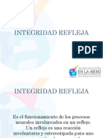 Integridad Refleja PDF