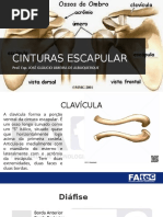 Jose_Glaucio_Limeira_de_Albuquerque1566346196.pptx