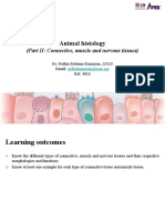 Animal Histology (Part II Connective Tissues)
