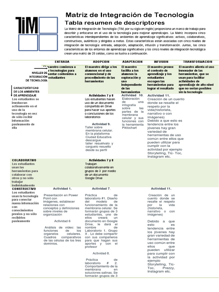 Matriz Tim - Liliana Pérez | PDF | Cuentacuentos | Tecnología de ...