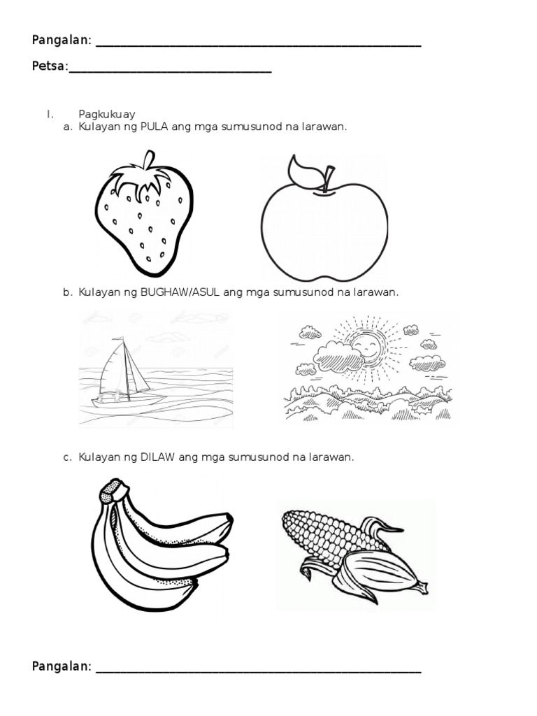 Activity | PDF