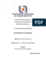 DETERMINACION DE MINERALES