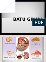 Batu Ginjal