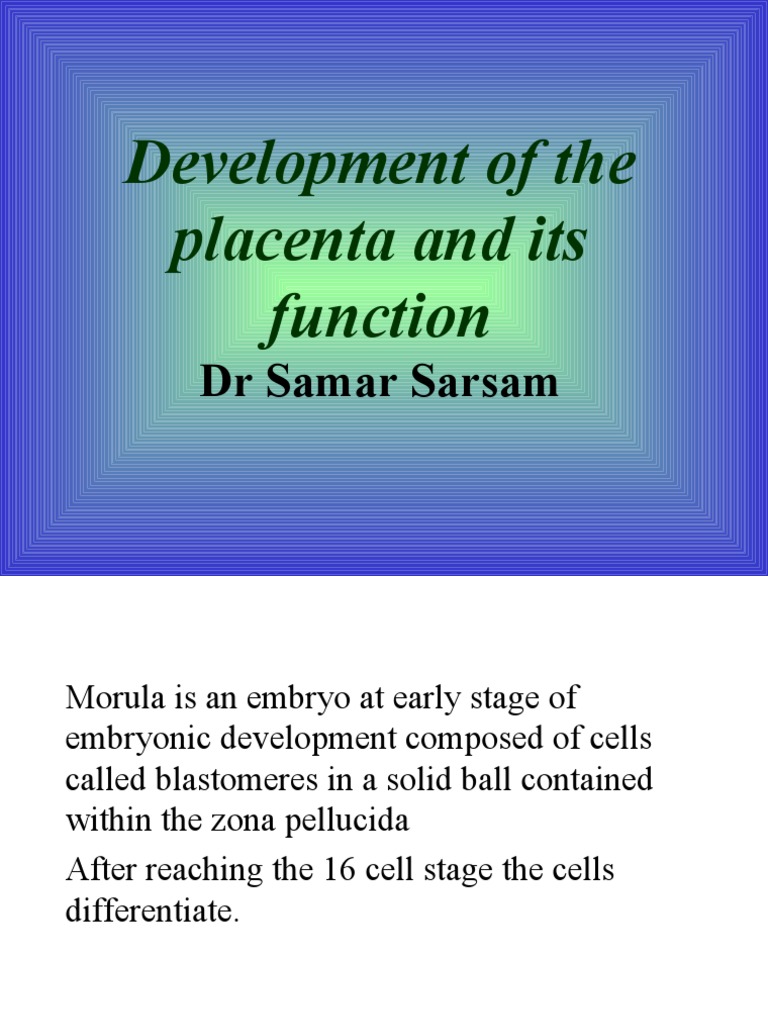Placenta Development and Functions | PDF | Placenta | Implantation ...