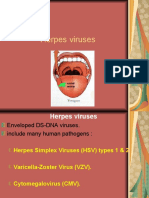 Herpes Viruses