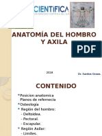 Anatomía Del Hombro y Axila 2018