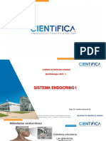 8 SISTEMA ENDOCRINO I 2019 - 2.pdf