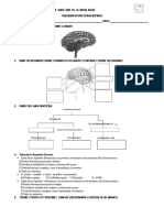 Evaluación Octavo Sistema Nervioso1 PDF