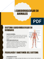 Sistema Cardiovacular