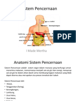Sistem Pencernaan - Mertha - 2019
