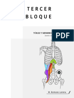 Tercer Bloque ✅ Tórax .pdf