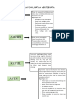 Fiswan KLP 3