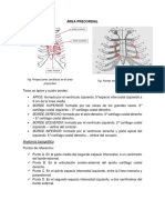 Área Precordial