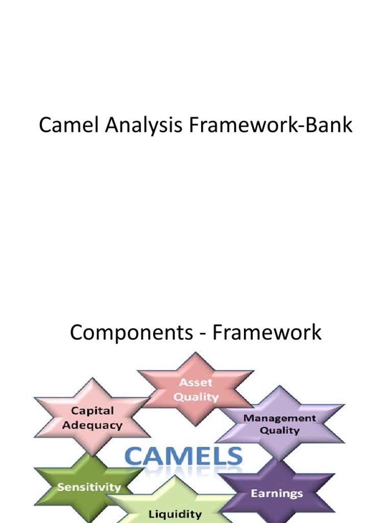 CAMELS Framework for Bank Analysis | PDF | Revenue | Banks