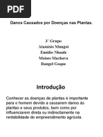 Danos Causados por Doenças nas Plantas.pptx