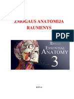 16 Zmogaus Raumenys 3D. 1