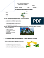 Evaluacion Diagnostica Ciencias 2020