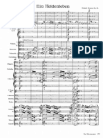 Strauss_-_Ein_Heldenleben,_Op._40_(orch._score).pdf