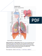 Sistem Pernapasan NM