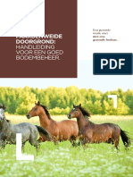Jouw paardenweide doorgrond: handleiding voor een goed bodembeheer