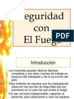 Seguridad Con El Fuego