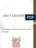 Akut Abdomen