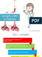 SBO y Laringitis.pdf
