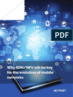 position_paper_sdn_nfv