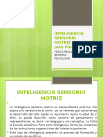 Inteligencia Sensorio Motriz