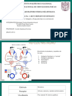 Seminario 1 Fisio Humana