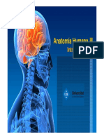 405902_1B_Introduccio_Anatomia.pdf