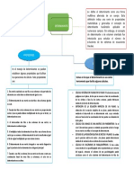 Mapa Conceptual de Determinantes