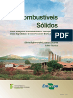 Bicombustiveis Solidos - Silvio Tavares