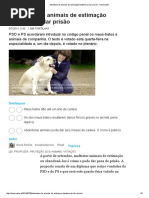 Abandono de animais de estimação também vai dar prisão - Observador.pdf