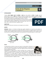 4ta Semana - Biologia