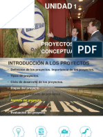 Proyectos Inversion