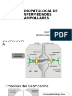 Inmunopatologia y Penfigos-1