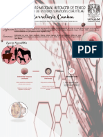 Cartel MPPC PDF