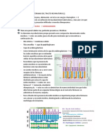 Tema 3 Infecciones Bacterianas Del Tracto Respiratorio