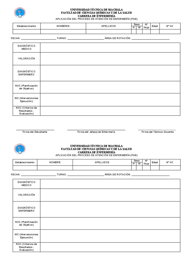 Formato PAE para Enfermería | PDF | Enfermería | Evaluación