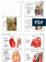 Anatomia 1 - LOCOMOTOR Superior - USA 2019 ALU.pdf