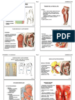 Anatomia 2 - LOCOMOTOR Inferior - USA 2019 ALU