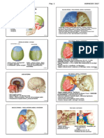 Anatomia 4 CABEZA USA 2019 Alumno.pdf