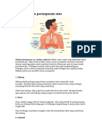 Organ Sistem Pernapasan