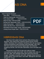 Hibridisasi Dna