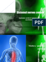 Sistemul Nervos Central_cl11